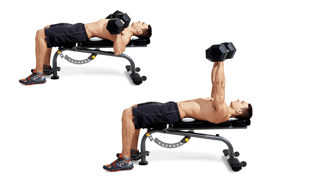 Upper body dumbbell bench press